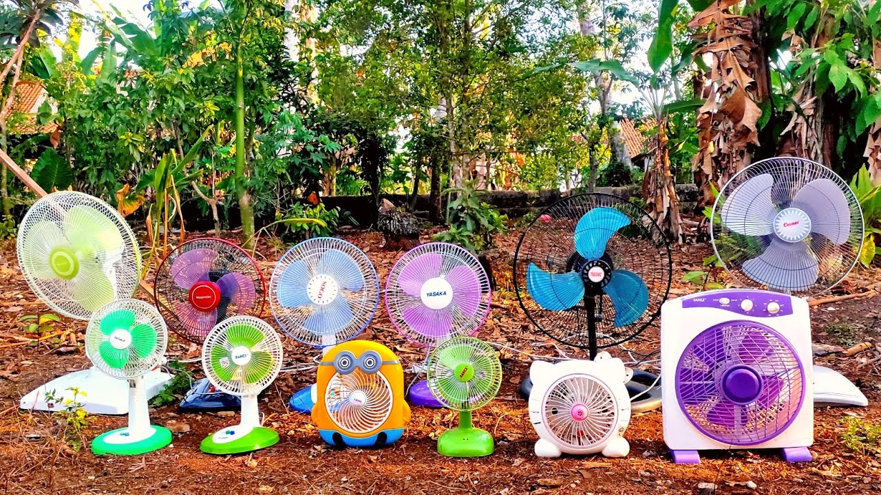 Drama Mencari Koleksi Kipas Angin Meja Hilang di Kebun‼️