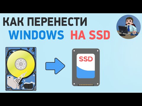Видео: Как перенести Windows на SSD