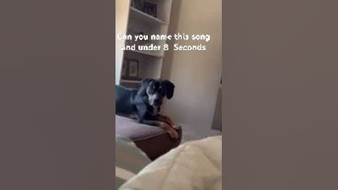 Can you name this song in seven 7 seconds?   Sir Loons musical quiz on YouTube - He Demands Answers!