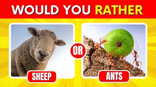 Would You Rather? Animals Edition