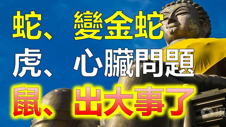 生肖屬蛇人簡直就是皇帝命，生肖蛇一生難能可貴，屬鼠橫財入百萬，屬龍人偏財發千萬，生肖蛇一生榮華富貴金錢多，十二生肖3大生肖有皇帝命，屬鼠、屬蛇這幾個生肖，2023年生肖蛇屬蛇人正財賺十萬 - 天天要聞