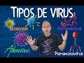 TIPOS DE VIRUS