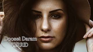 ARASH & HELENA - Dooset Daram (ZERRID Remix) Resimi