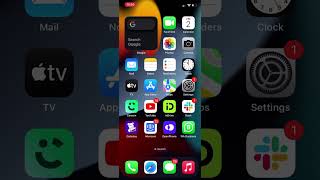 How to Live Stream from Your Phone — Larix Broadcaster Setup (Free App) screenshot 5