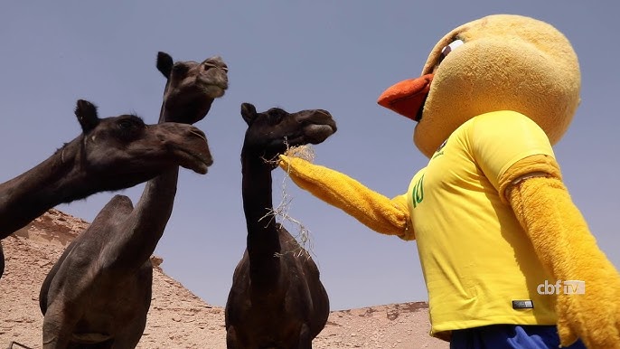 Canarinho Pistola sai pelas ruas de Viena e faz sucesso com a criançada  local, seleção brasileira