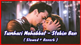 Tumhari Mohabbat 😍 Slowed Reverb Song || Stebin Ben || Tumhari Mohabbat Bemisaal Sanam Lofi Song ||