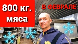 ЧЕТЫРЕ ПРИЧИНЫ НЕ ВЫРАЩИВАТЬ БРОЙЛЕРА ЗИМОЙ / ЗИМНЕЕ СОДЕРЖАНИЕ БРОЙЛЕРОВ