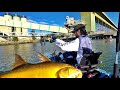 Threadfin Salmon and Snapper Fishing in the Brisbane River Australia