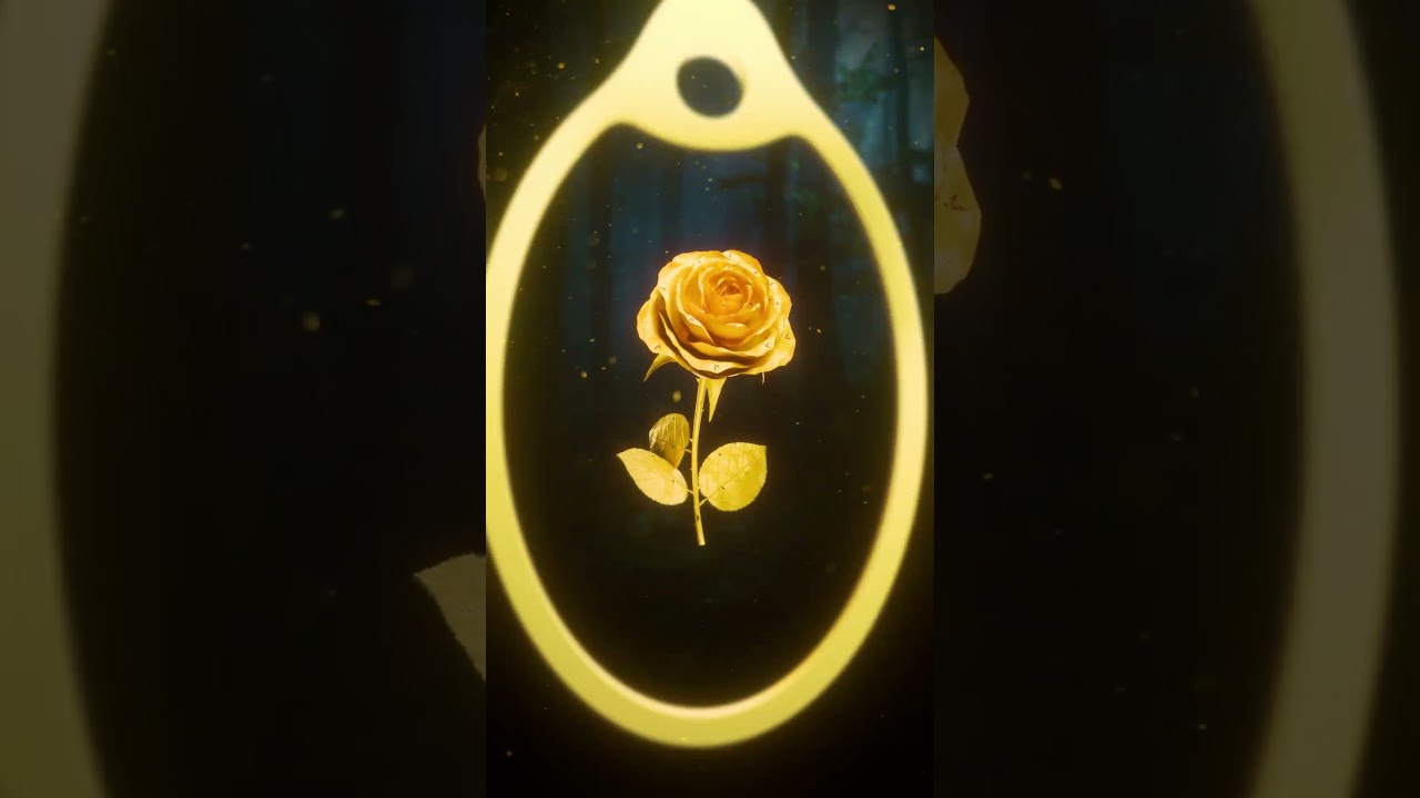 3D Kinetic Showcase