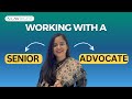 Should you join a Senior Advocate | Working with Senior Advocate | Career in Litigation