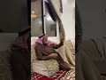 ياقلب لاتحزن على فايتن فات فرحان الغزالي ياقلب لاتحزن على فايتن فات فرحان الغزالي
