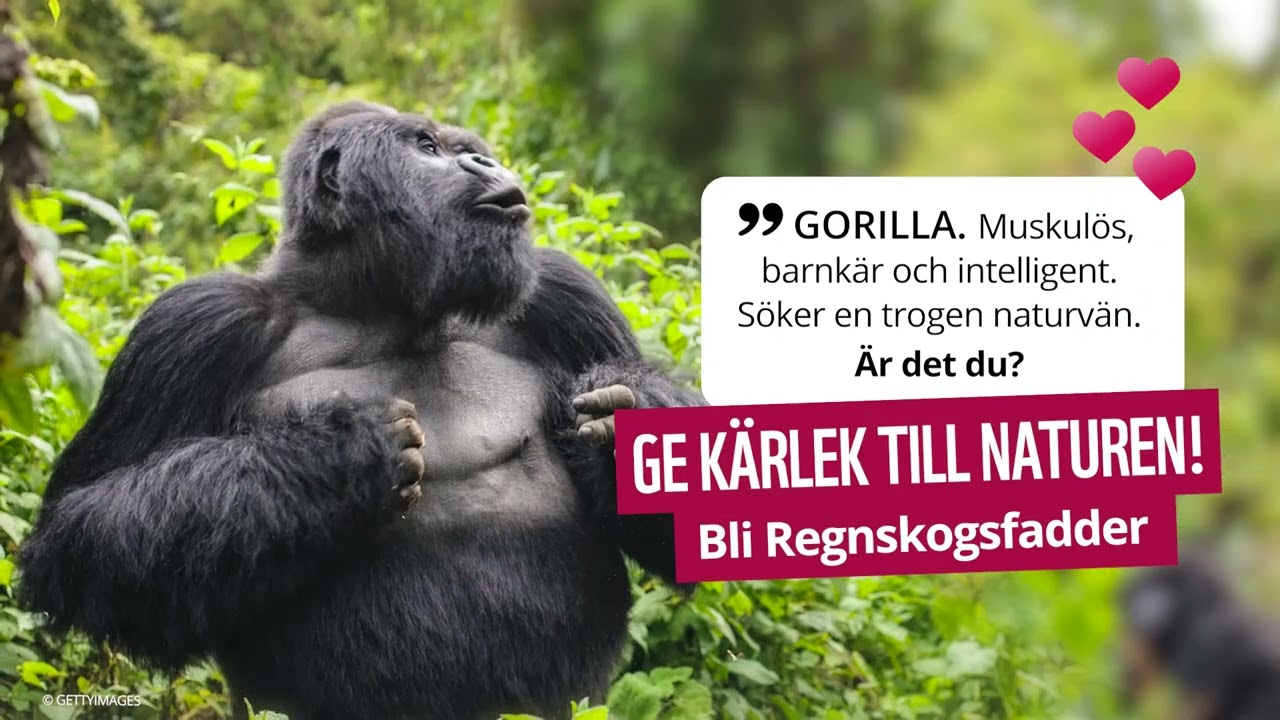 Мускулистый, любящий детей мужчина ищет верного друга на природе! Это вы? ❤️