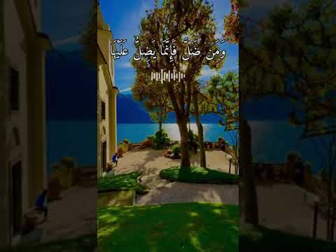 م ن اه ت د ى ف إ ن م ا ي ه ت د ي ل ن ف س ه و م ن ض ل ف إ ن م ا ي ض ل ع ل ي ه ا