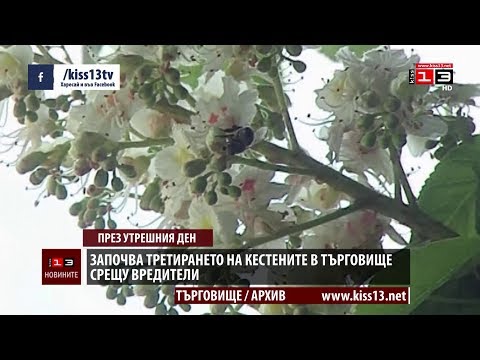 Видео: Вредители от конски кестен: Какво не е наред с моето дърво от конски кестен