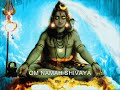 Om namah shivaya 108 times  sri ganapathy sachchidananda swamiji