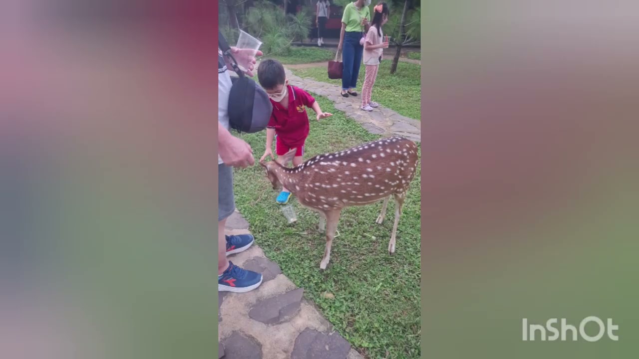 Jasmine park Indonesia 