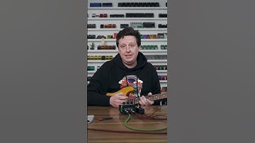 The Volture simulates the glitchy sounds a pedal makes when powered with a dying battery. 🪶