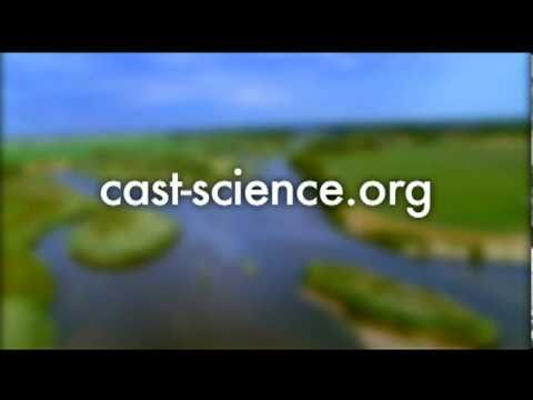 Probiotics In Human Health – News CAST HQ