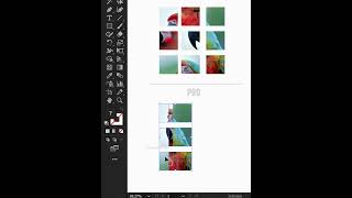 How to create a script harmonizer organise your photos in Illustrator #illustratortutorial