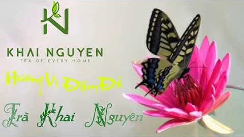 Trà Nõn Tôm Tân Cương Thái Nguyên | Trà Khai Nguyên