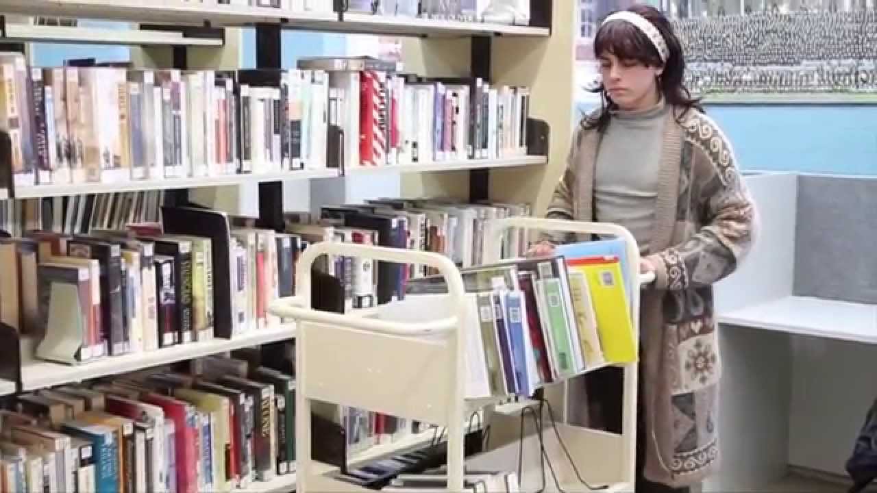 librarian