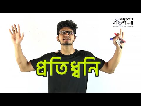 ভিডিও: প্রতিধ্বনি সময় গুরুত্বপূর্ণ কেন?