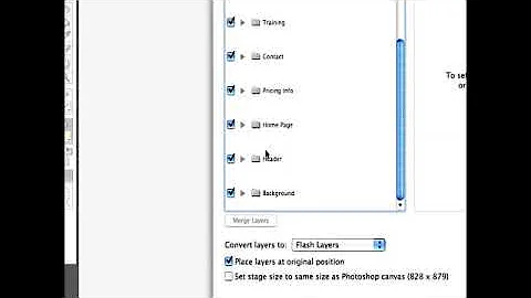 Importing Photoshop Files into Flash CS3