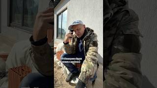 Михалыча вчера Кайрат влупил… #прогнозынафутбол #кайрат #реалмадрид #лигачемпионов