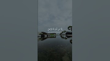 #اكسبلور #المصحف #راحة_نفسية #تلاوة_خاشعة