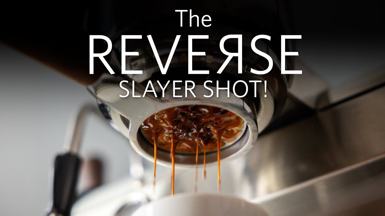 🎬 𝙏𝙃𝙀 𝙍𝙀𝙑𝙀𝙍𝙎𝙀 𝙎𝙇𝘼𝙔𝙀𝙍 𝙎𝙃𝙊𝙏 !! – 슬레이어 샷 완전 정복 비디오 (2부)