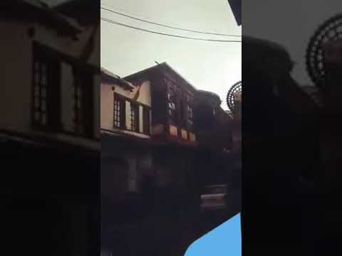 لينا شماميان تغني كأنها قطعة من رخام تعشق