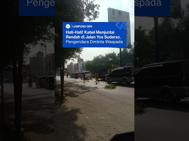 Sebuah kabel hitam dan ranting pohon menjuntai hingga ke badan jalan, di Jalan Yos Sudarso