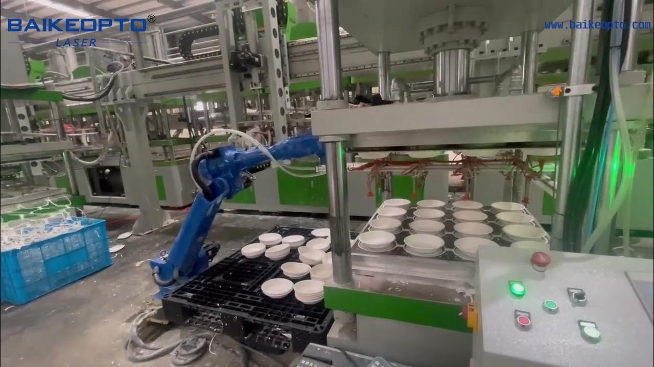 Environmentally friendly food box production line robot YouTube
