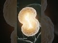 What Happens Inside Your Body When You Feel Someone Is Watching You? #Fear #BrainScience #HumanBody
