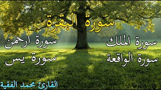 سورة البقرة، يس، الواقعة، الرحمن، الملك، رقية المنزل القارئ محمد الفقيه Ruqyah