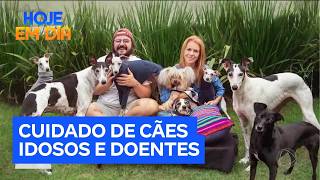 Conheça O Casal Que Se Dedica A Propiciar Um Fim De Vida Digno A Pets Idosos E Adoentados
