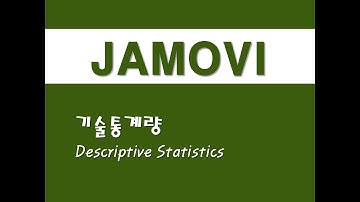 자모비를 활용한 응용통계 - (11) 기술통계량(Descriptive Statistics)