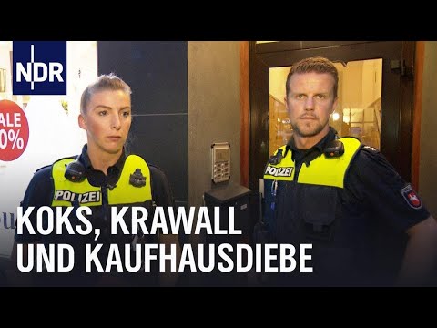 Rattenplage in Wohnsiedlung – Kampf mit rechtlichen Hürden | Abendschau | BR24