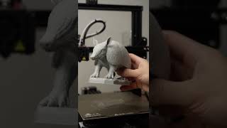 This Armadillo 3D Print Has Incredible Armor Detail! 🦔