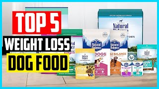 ✅Top 5 Best Weight Loss Dog Food Reviews in 2024