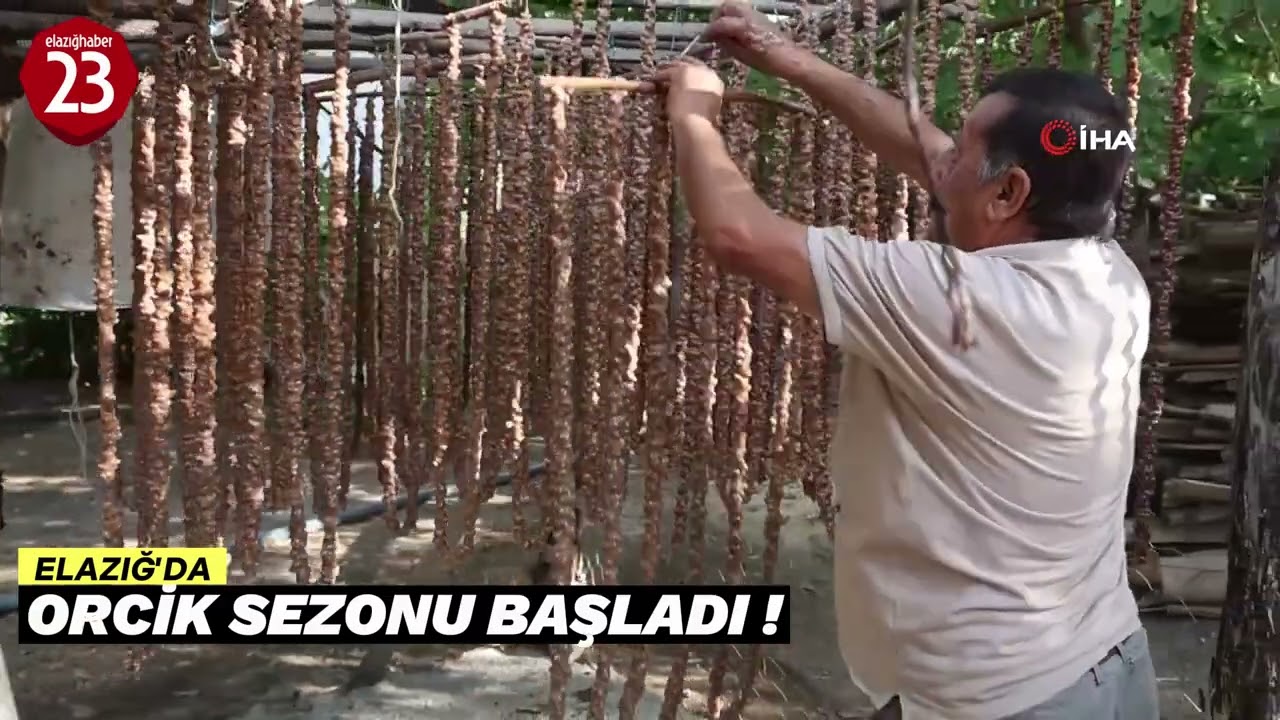 Elazığ'da Orcik Sezonu Başladı !