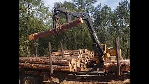 234 🐅 🐯 TigerCat loading trucks