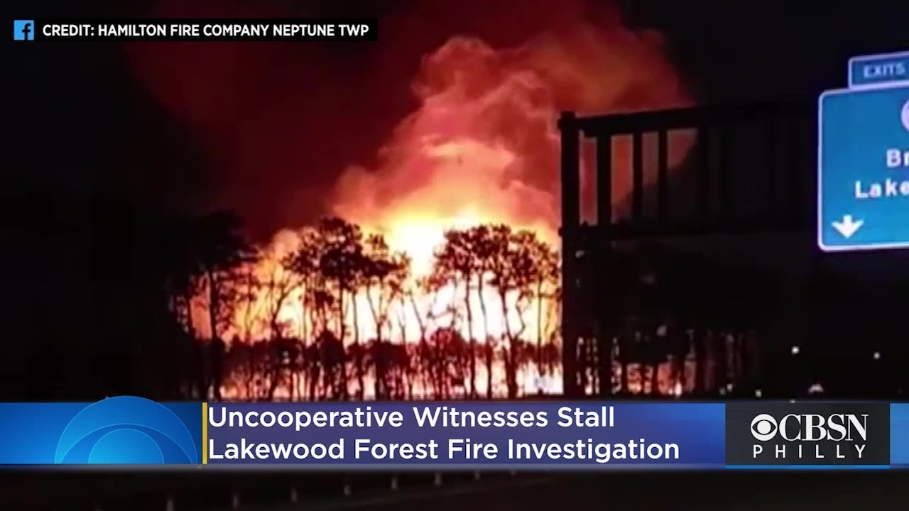 Uncooperative Witnesses Stall Lakewood Forest Fire Investigation, Prosecutor Says
