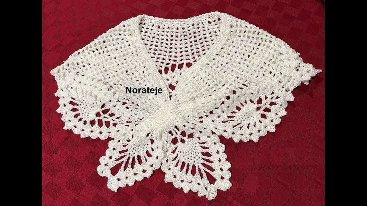 Estola de piñas a crochet 1 - 2