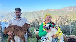 Spring Migration from the Village to the Green Heights of the Mountain for easy Livestock Grazing