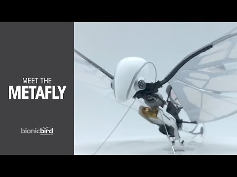 MetaFly - A New Flying Experience on Kickstarter