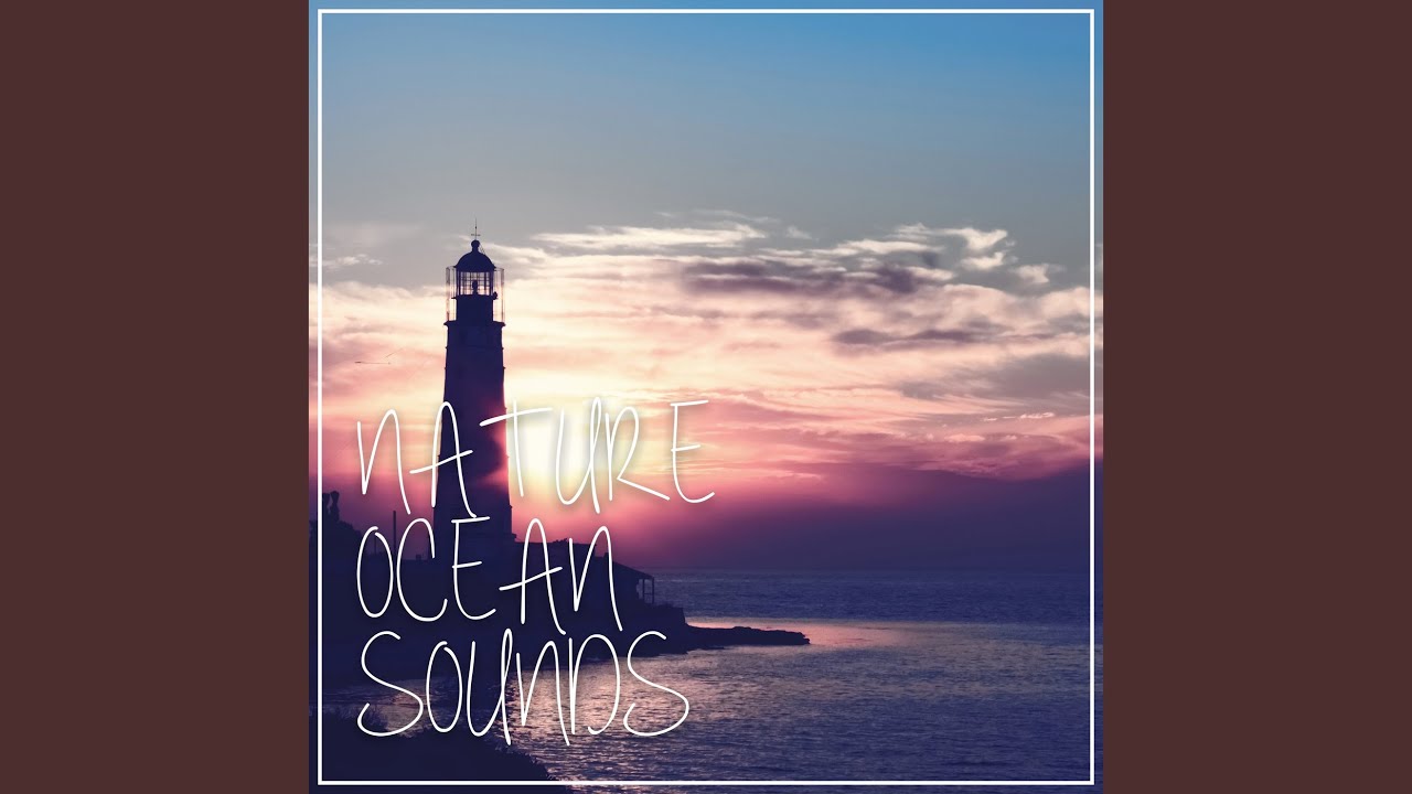 Watch Singing Seagulls on YouTube