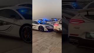 Dubai police car collection ❤️