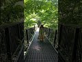 Solo ko muna ang suspension bridge hehehe may tao na pala #satisfying #travel #asmr