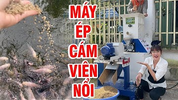 🐟 Máy Ép Cám Viên Nổi 100K – Năng Suất 1 Tạ/Giờ, Giảm 40% Chi Phí, Quà Tặng Khủng, Giá Siêu Tốt!
